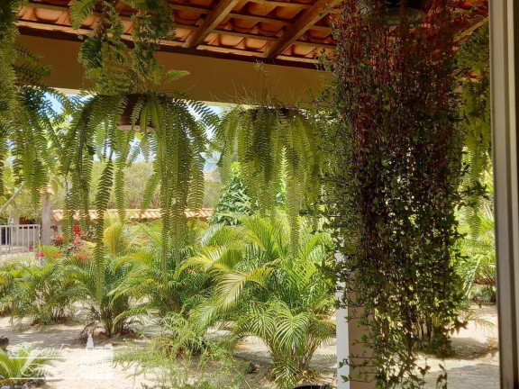Imagem Fazenda à Venda, 1.600 m² em Imirizal - Salvaterra