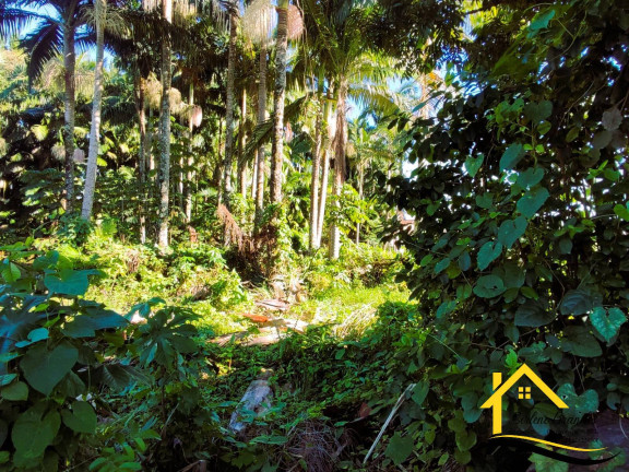 Imagem Terreno à Venda,  em Pinheiros - Balneário Barra Do Sul