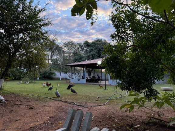 Imagem Imóvel à Venda, 21.010 m² em Chácara São Pedro - Aparecida De Goiânia Imagem Imóvel à Venda, 21.010 m² em Chácara São Pedro - Aparecida De Goiânia