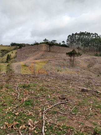 Imagem Fazenda à Venda, 59.000 m² em Alto Cedros - Rio Dos Cedros