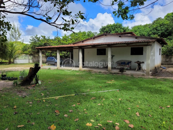 Imagem Fazenda à Venda, 2.000 m² em Lagoa Do Bonfim - Nísia Floresta