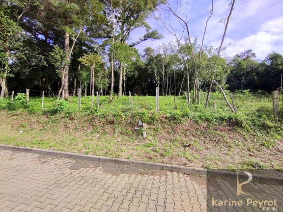 Imagem Terreno à Venda, 300 m² em Campestre - São Leopoldo Imagem Terreno à Venda, 300 m² em Campestre - São Leopoldo
