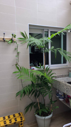 Imagem Apartamento com 2 Quartos à Venda, 65 m² em Vila Alzira - Santo André