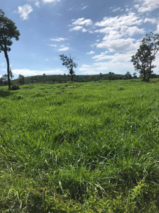 Imagem Fazenda à Venda, 145 m² em Montes Claros Imagem Fazenda à Venda, 145 m² em Montes Claros
