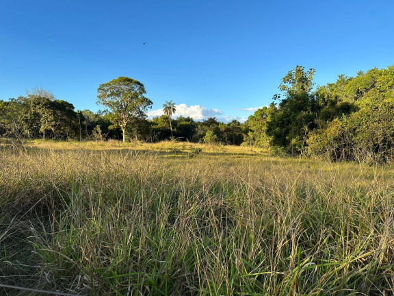 Imagem Fazenda à Venda, 4 m² em Barra Do Garças