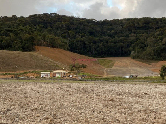 Imagem Imóvel à Venda, 558.000 m² em Pedra Azul - Domingos Martins Imagem Imóvel à Venda, 558.000 m² em Pedra Azul - Domingos Martins