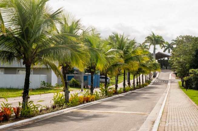 Imagem Terreno à Venda, 300 m² em Recanto Da Sereia - Guarapari Imagem Terreno à Venda, 300 m² em Recanto Da Sereia - Guarapari