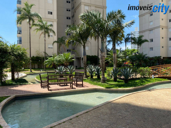 Imagem Apartamento com 3 Quartos para Alugar, 111 m² em Ipiranga - São Paulo Imagem Apartamento com 3 Quartos para Alugar, 111 m² em Ipiranga - São Paulo