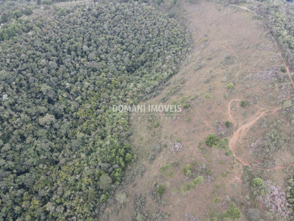 Imagem Imóvel à Venda, 162.000 m² em Região Do Alto Do Capivari - Campos Do Jordão Imagem Imóvel à Venda, 162.000 m² em Região Do Alto Do Capivari - Campos Do Jordão