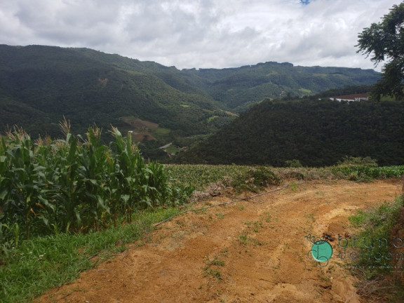 Imagem Imóvel com 1 Quarto à Venda, 60.000 m² em Zona Rural - Alfredo Wagner