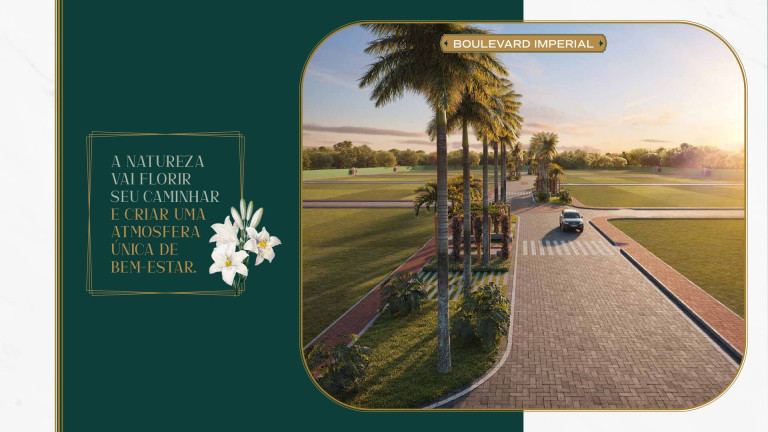 Imagem Terreno à Venda, 325 m² em Sim - Feira De Santana Imagem Terreno à Venda, 325 m² em Sim - Feira De Santana