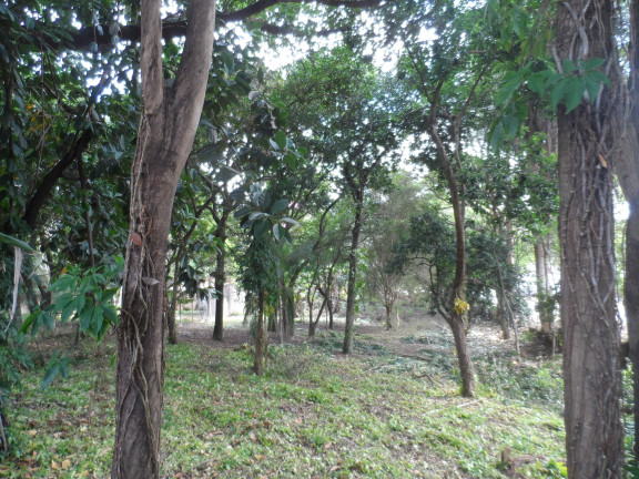 Imagem Imóvel à Venda, 3.200 m² em Protestantes - Votorantim