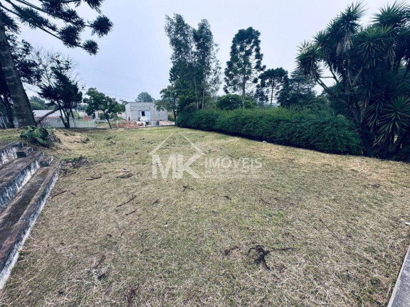 Imagem Chácara com 3 Quartos à Venda, 407 m² em Borda Do Campo (quatro Barras) Imagem Chácara com 3 Quartos à Venda, 407 m² em Borda Do Campo (quatro Barras)
