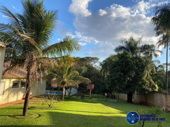 Imagem Chácara à Venda, 8.000 m² em Chácaras De Recreio São Joaquim - Goiânia Imagem Chácara à Venda, 8.000 m² em Chácaras De Recreio São Joaquim - Goiânia