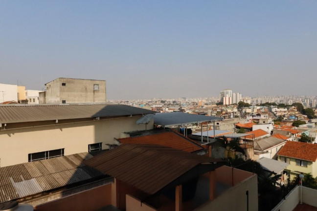 Imagem Apartamento com 3 Quartos à Venda, 79 m² em Casa Verde Alta - São Paulo