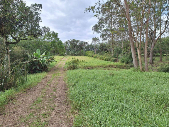 Imagem Chácara com 2 Quartos à Venda, 12.000 m² em Santo Onofre - Viamão