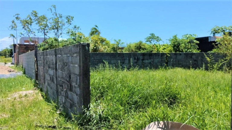 Imagem Terreno à Venda, 250 m² em Balneário Monte Carlo - Ilha Comprida Imagem Terreno à Venda, 250 m² em Balneário Monte Carlo - Ilha Comprida