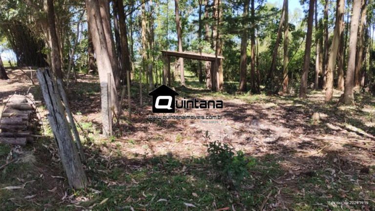 Imagem Imóvel com 2 Quartos à Venda, 50.000 m² em Capela Da Buena - Morro Redondo