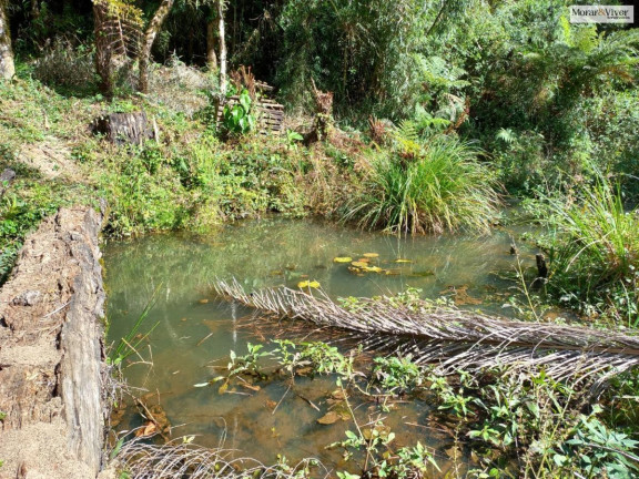 Imagem Imóvel à Venda, 8.000 m² em Zona Rural - Quatro Barras Imagem Imóvel à Venda, 8.000 m² em Zona Rural - Quatro Barras