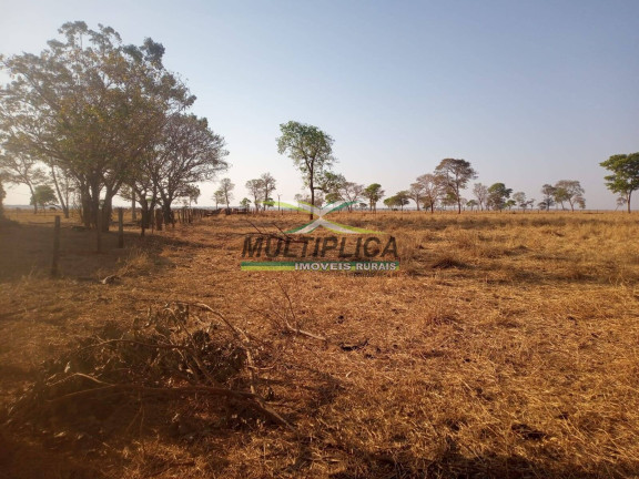 Imagem Fazenda à Venda, 72 m² em Iturama Imagem Fazenda à Venda, 72 m² em Iturama