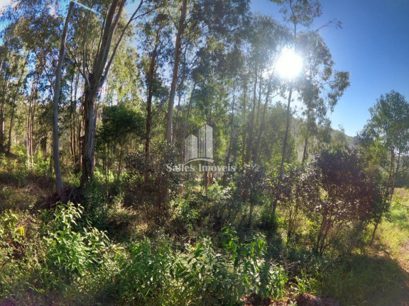 Imagem Terreno à Venda, 10.000 m² em São Cristovão - Flores Da Cunha Imagem Terreno à Venda, 10.000 m² em São Cristovão - Flores Da Cunha