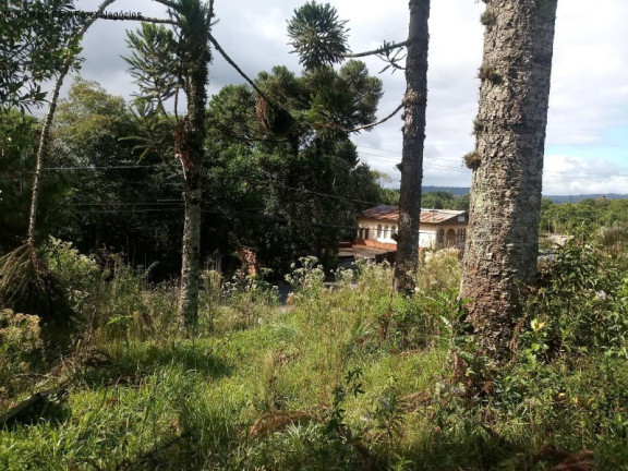 Imagem Terreno à Venda, 1.051 m² em Vila Germânia - Nova Petrópolis Imagem Terreno à Venda, 1.051 m² em Vila Germânia - Nova Petrópolis