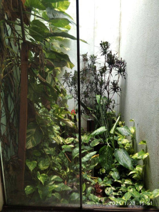 Imagem Casa com 2 Quartos à Venda, 125 m² em Jardim Irene - Medianeira Imagem Casa com 2 Quartos à Venda, 125 m² em Jardim Irene - Medianeira