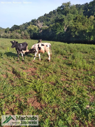 Imagem Terreno à Venda, 48 m² em Rural - Erval Seco Imagem Terreno à Venda, 48 m² em Rural - Erval Seco