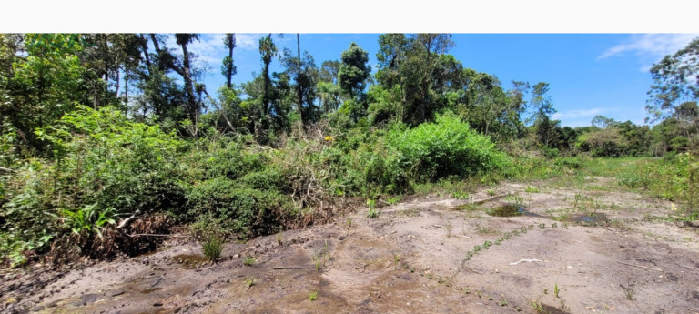 Imagem Terreno à Venda, 768 m² em Praia Das Palmeiras - Itapoá Imagem Terreno à Venda, 768 m² em Praia Das Palmeiras - Itapoá