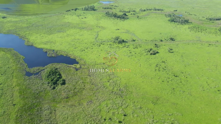Imagem Imóvel com 3 Quartos à Venda, 88.000 m² em Zona Rural - Poconé Imagem Imóvel com 3 Quartos à Venda, 88.000 m² em Zona Rural - Poconé