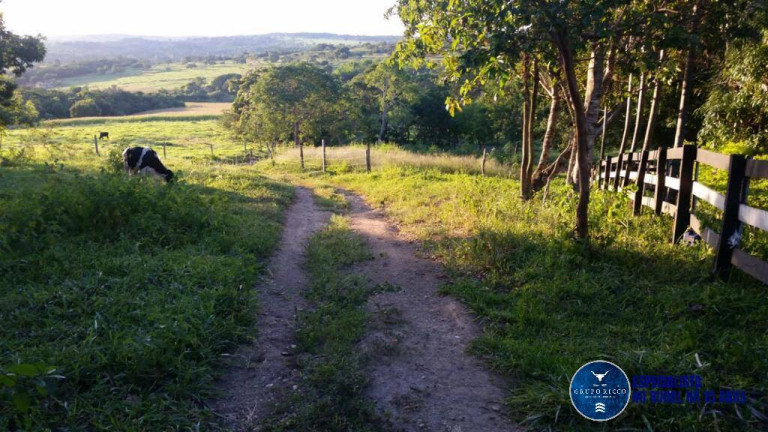 Imagem Chácara à Venda, 5 m² em Zona Rural - Santa Cruz De Goiás Imagem Chácara à Venda, 5 m² em Zona Rural - Santa Cruz De Goiás
