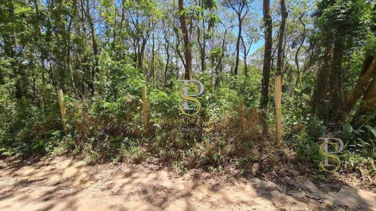 Imagem Terreno à Venda, 1.000 m² em Mato Dentro - Mairiporã Imagem Terreno à Venda, 1.000 m² em Mato Dentro - Mairiporã