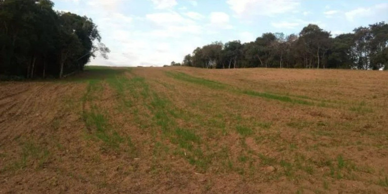 Imagem Terreno à Venda, em Ferrari - Campo Largo Imagem Terreno à Venda, em Ferrari - Campo Largo
