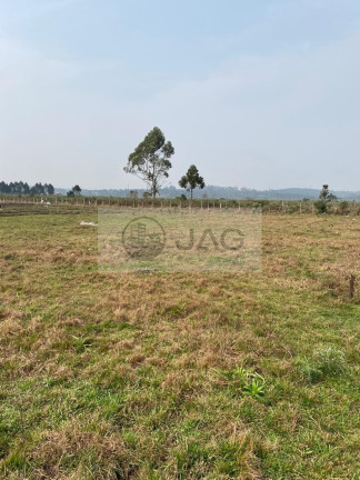 Imagem Terreno à Venda, 3.000 m² em Planta Santa Lúcia - Piraquara Imagem Terreno à Venda, 3.000 m² em Planta Santa Lúcia - Piraquara