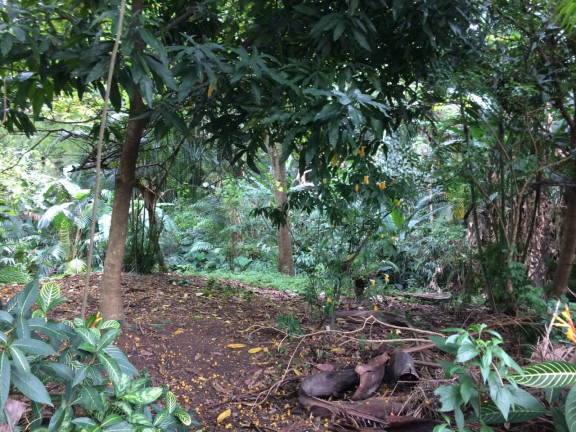 Imagem Terreno à Venda, em Vila Progredior - São Paulo Imagem Terreno à Venda, em Vila Progredior - São Paulo
