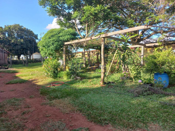 Imagem Fazenda à Venda, 65.340 m² em Bonfim - Pirassununga