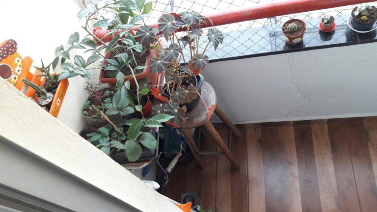 Apartamento com 2 Quartos à Venda, 54 m² em Jardim Do Estádio - Santo André