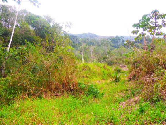 Imagem Terreno à Venda, 46.578 m² em Macacu - Garopaba Imagem Terreno à Venda, 46.578 m² em Macacu - Garopaba