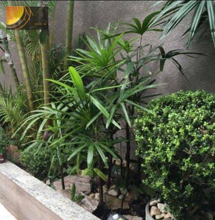 Imagem Casa com 3 Quartos à Venda, 190 m² em Pirituba - São Paulo Imagem Casa com 3 Quartos à Venda, 190 m² em Pirituba - São Paulo
