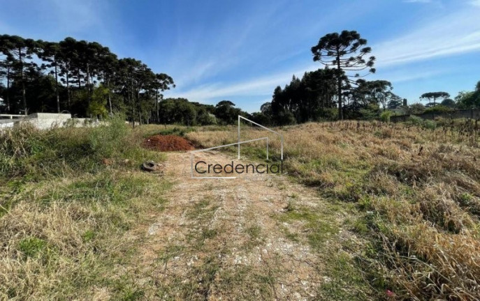 Imagem Terreno à Venda, 5.544 m² em Umbará - Curitiba