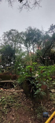 Imagem Apartamento com 2 Quartos à Venda, 60 m² em Cidade Ademar - São Paulo
