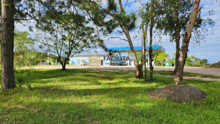 Imóvel à Venda, 60.000 m² em Rincão Da Cruz - Pelotas