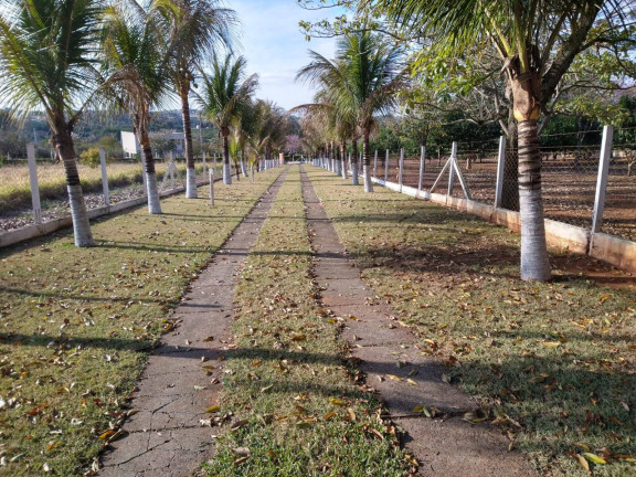 Imagem Chácara com 2 Quartos à Venda, 96 m² em Centro - Capela Do Alto