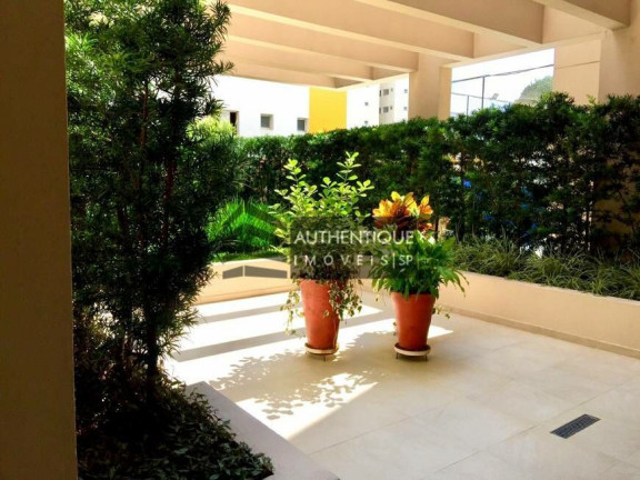 Imagem Apartamento com 3 Quartos à Venda, 90 m² em Vila Mascote - São Paulo Imagem Apartamento com 3 Quartos à Venda, 90 m² em Vila Mascote - São Paulo