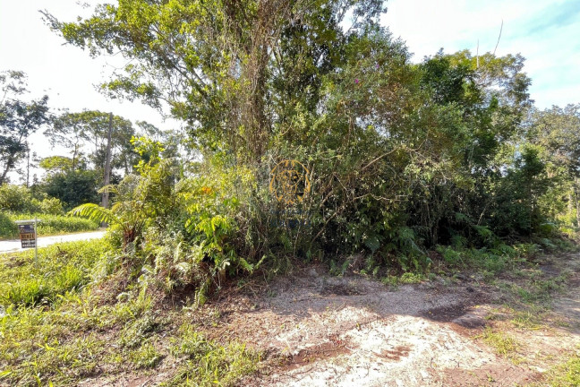 Imagem Terreno à Venda, 375 m² em Pontal Do Norte - Itapoá Imagem Terreno à Venda, 375 m² em Pontal Do Norte - Itapoá
