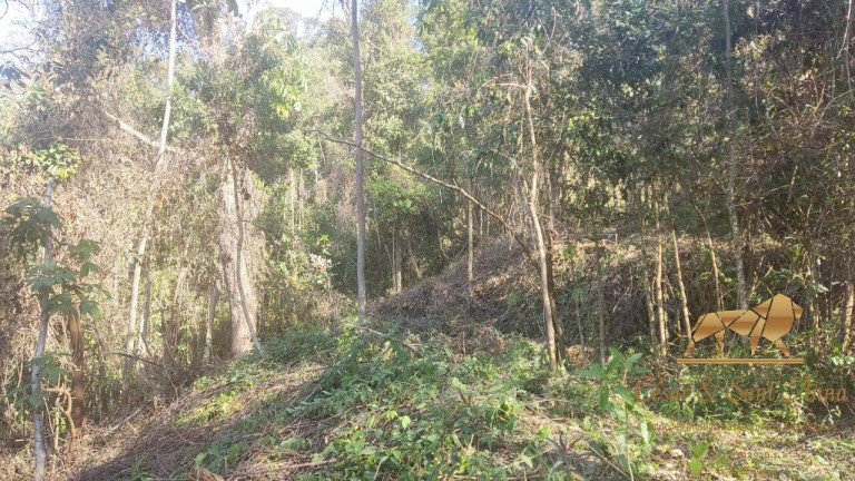 Imagem Terreno à Venda, 3.680 m² em Campos Do Jordão Imagem Terreno à Venda, 3.680 m² em Campos Do Jordão