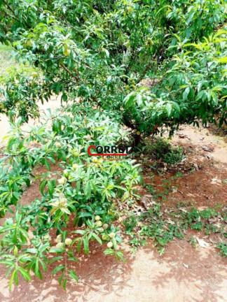 Imagem Chácara com 3 Quartos à Venda, 1.000 m² em Votorantim - Ibiúna