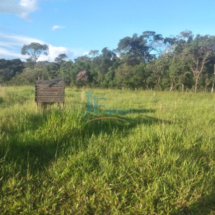 Imagem Imóvel com 4 Quartos à Venda, 105.000 m² em Centro - Cajuru