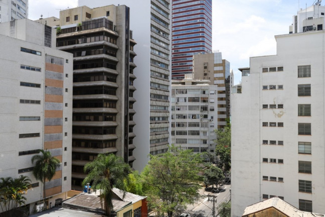 Imagem Imóvel com 3 Quartos à Venda, 232 m² em Jardim América - São Paulo