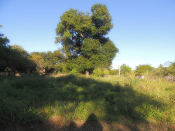 Imagem Terreno à Venda, 13 m² em Camará - Aquiraz Imagem Terreno à Venda, 13 m² em Camará - Aquiraz